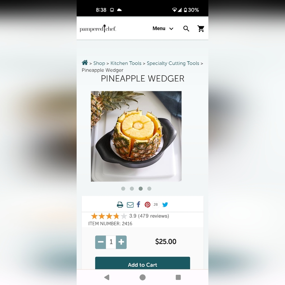 New,Pampered Chef Pineapple Wedger